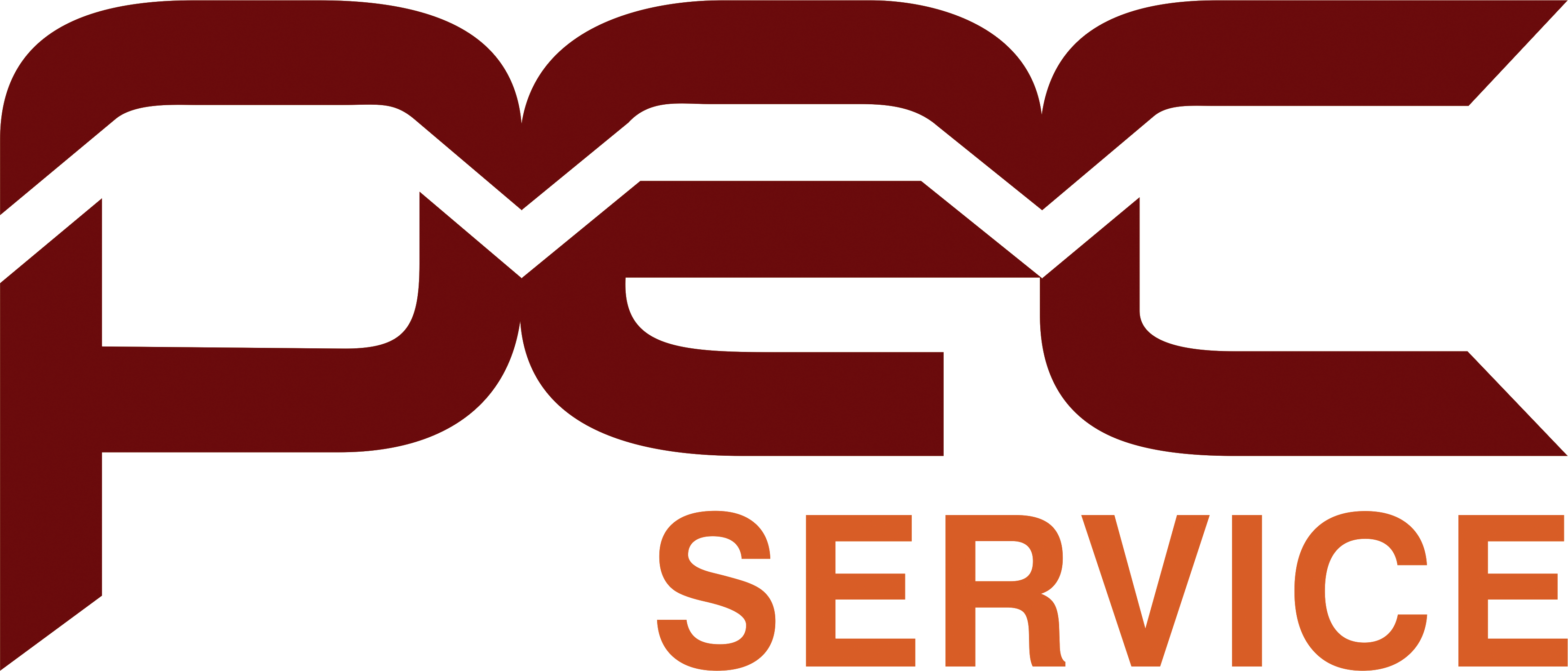 Logo Pec Service final